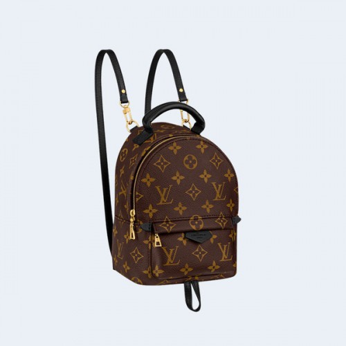 LOUIS VUITTON 루이비통 가방 루이비통 모노그램 팜 스프링스 미니 백팩 M44873